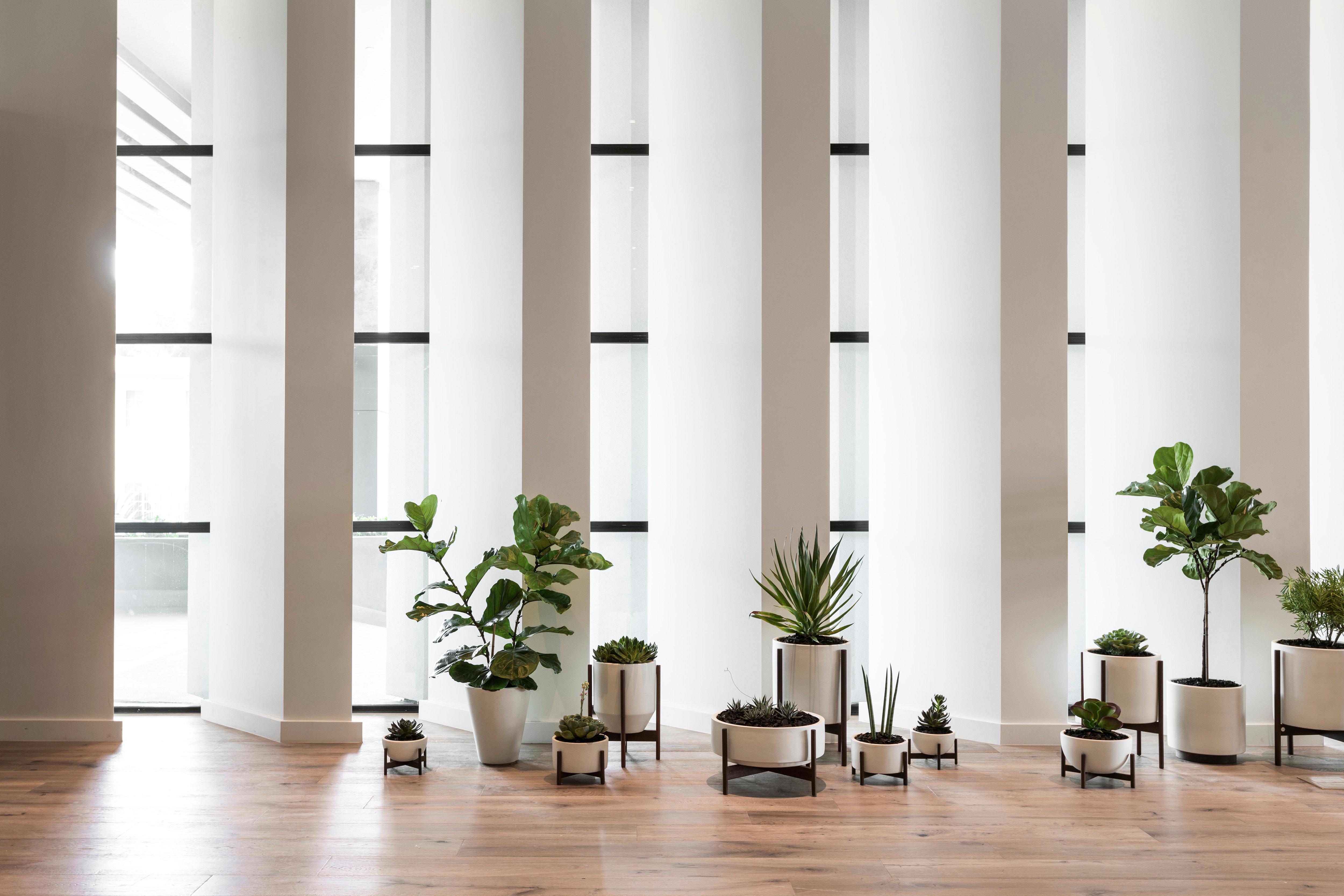 Kimpton Everly Hotel Hollywood By Ihg Лос-Анджелес Экстерьер фото
